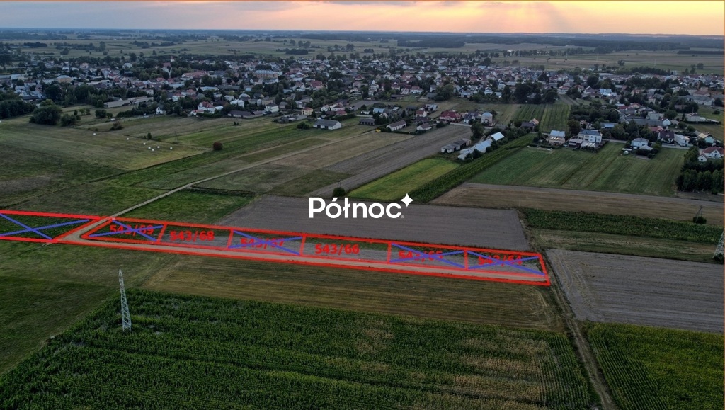 Zdjęcie 14