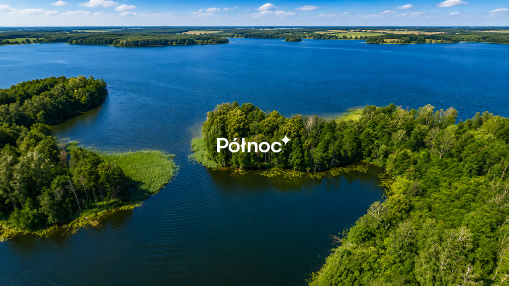 Zdjęcie 4