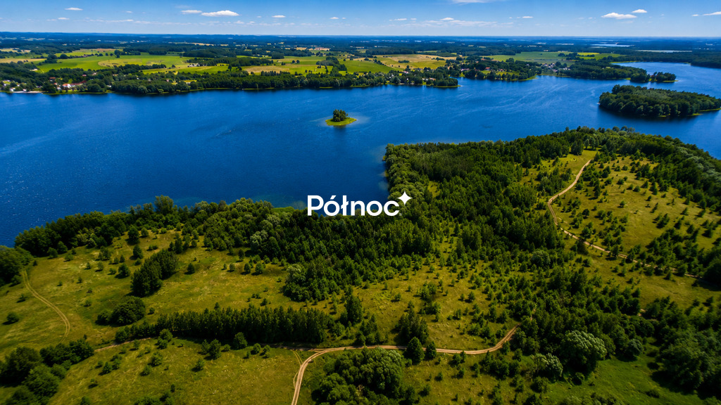 Zdjęcie 6