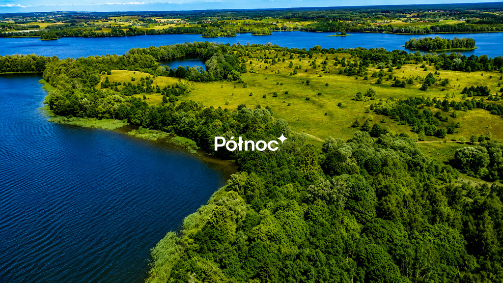 Zdjęcie 8