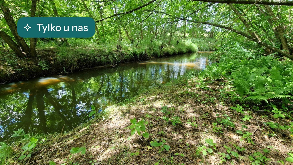 Duża działka rekreacyjna 2740 m² | ul. Królewska