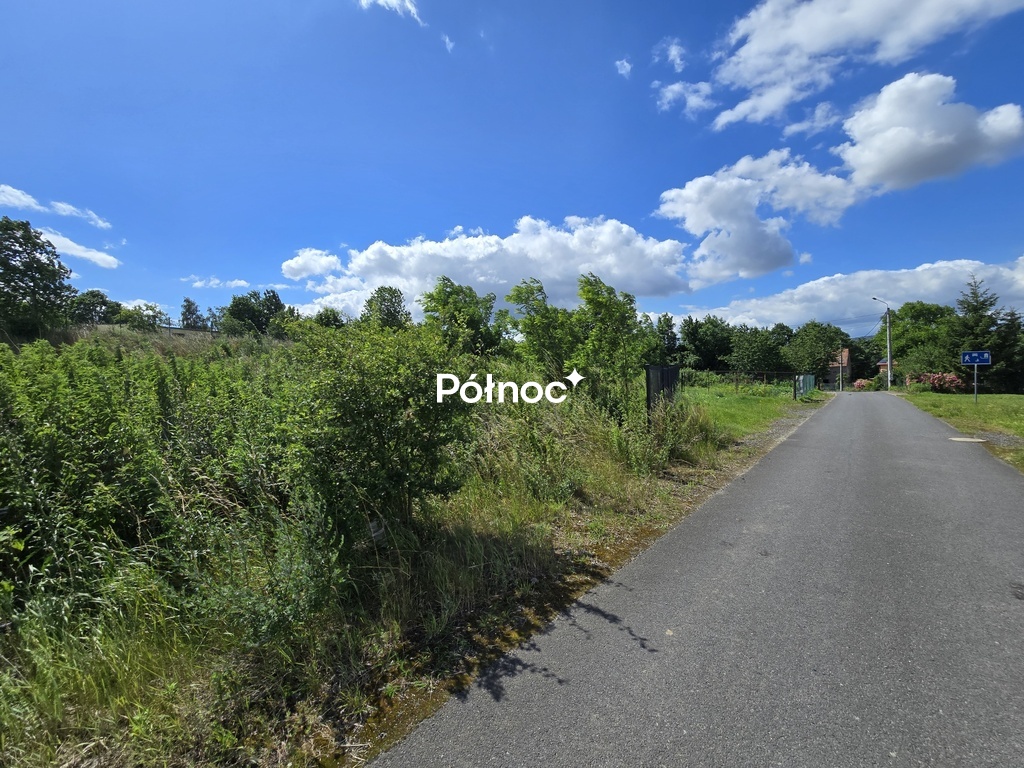 Zdjęcie 10