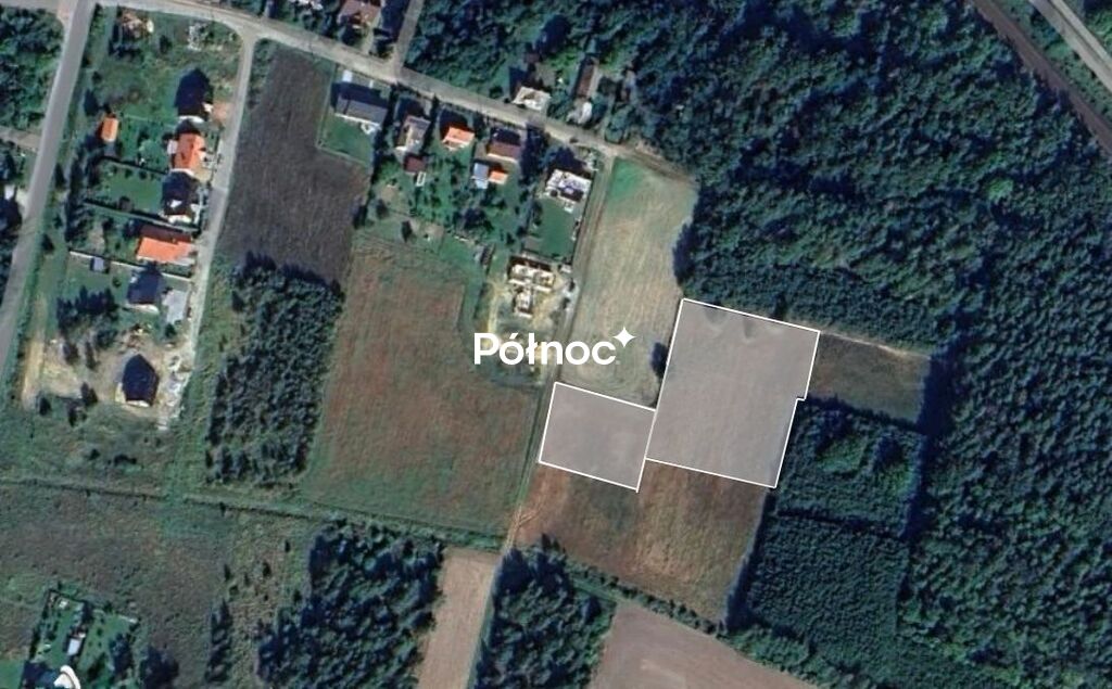 Zdjęcie 2