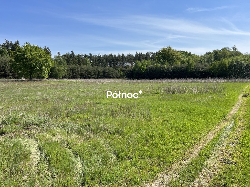 Zdjęcie 11