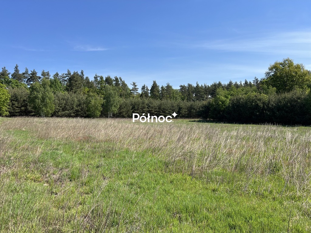 Zdjęcie 12