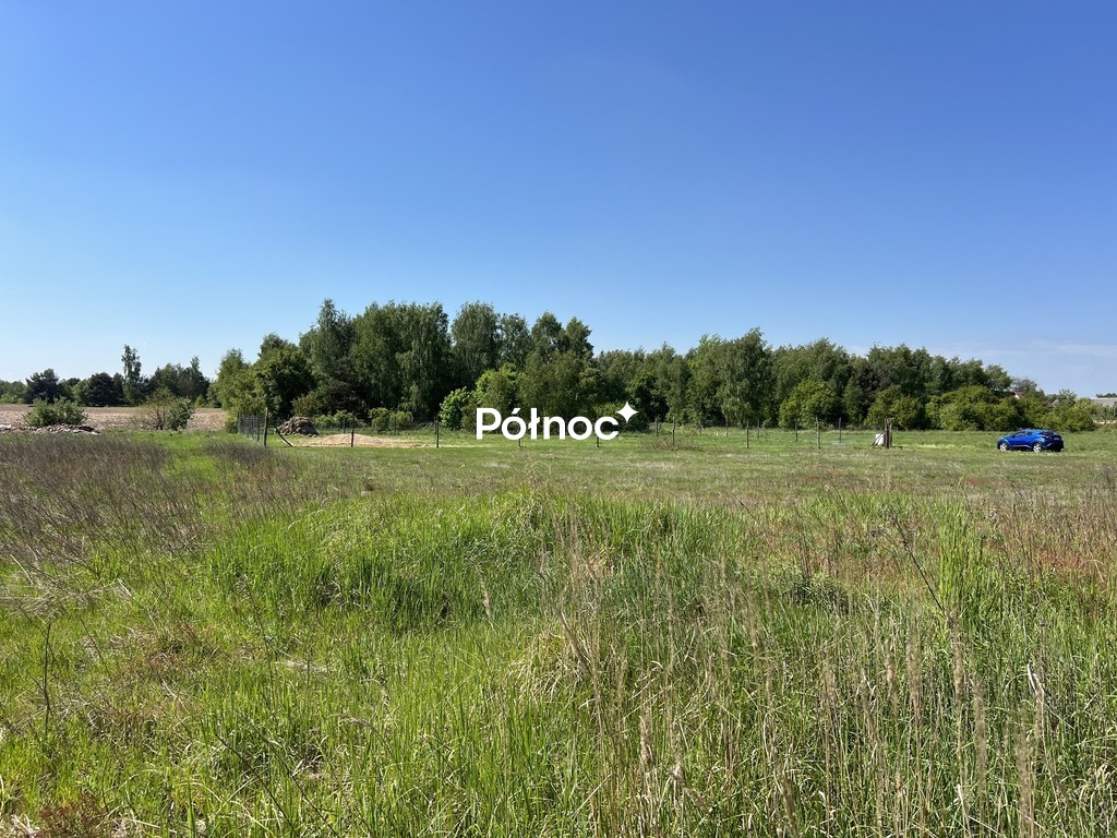 Zdjęcie 15