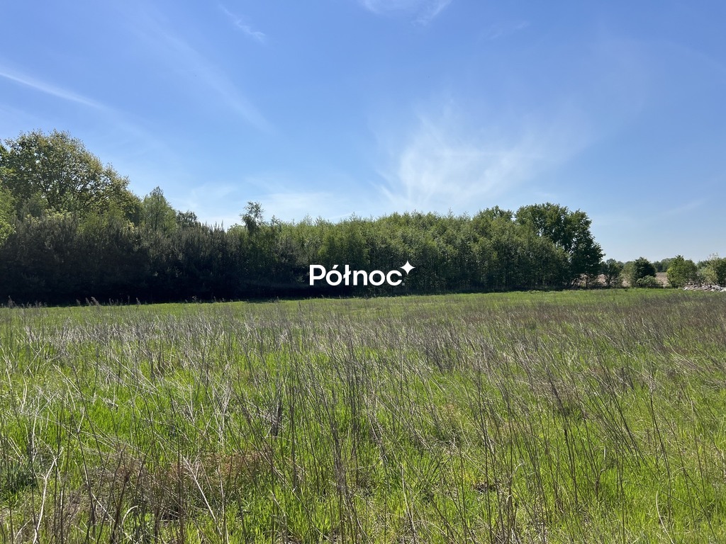 Zdjęcie 20