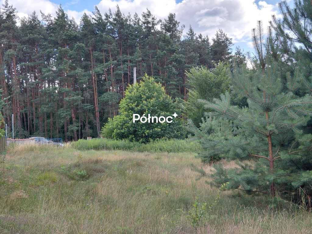 Zdjęcie 4