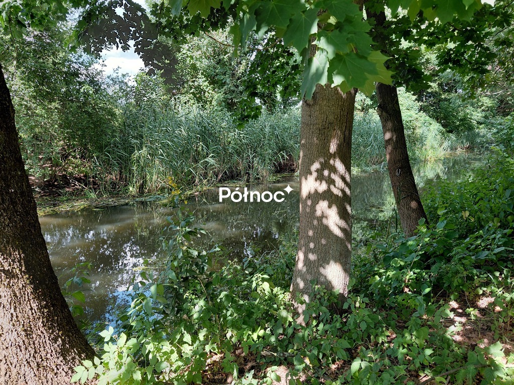 Zdjęcie 11