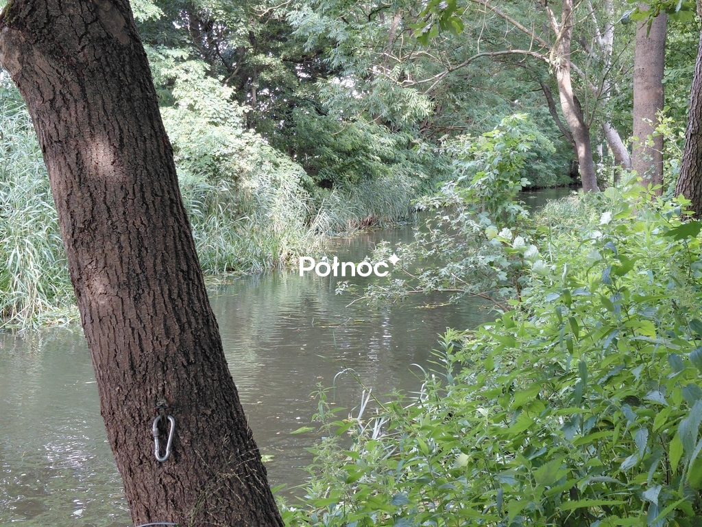 Zdjęcie 14