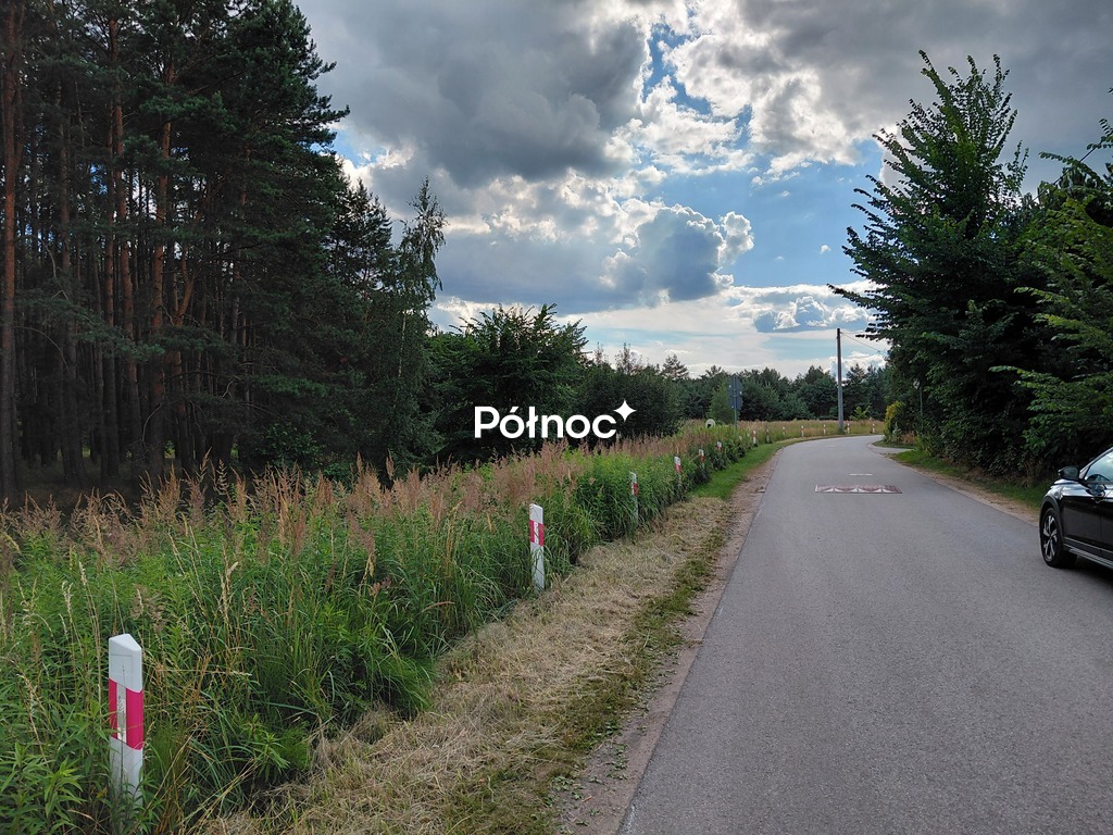 Zdjęcie 15