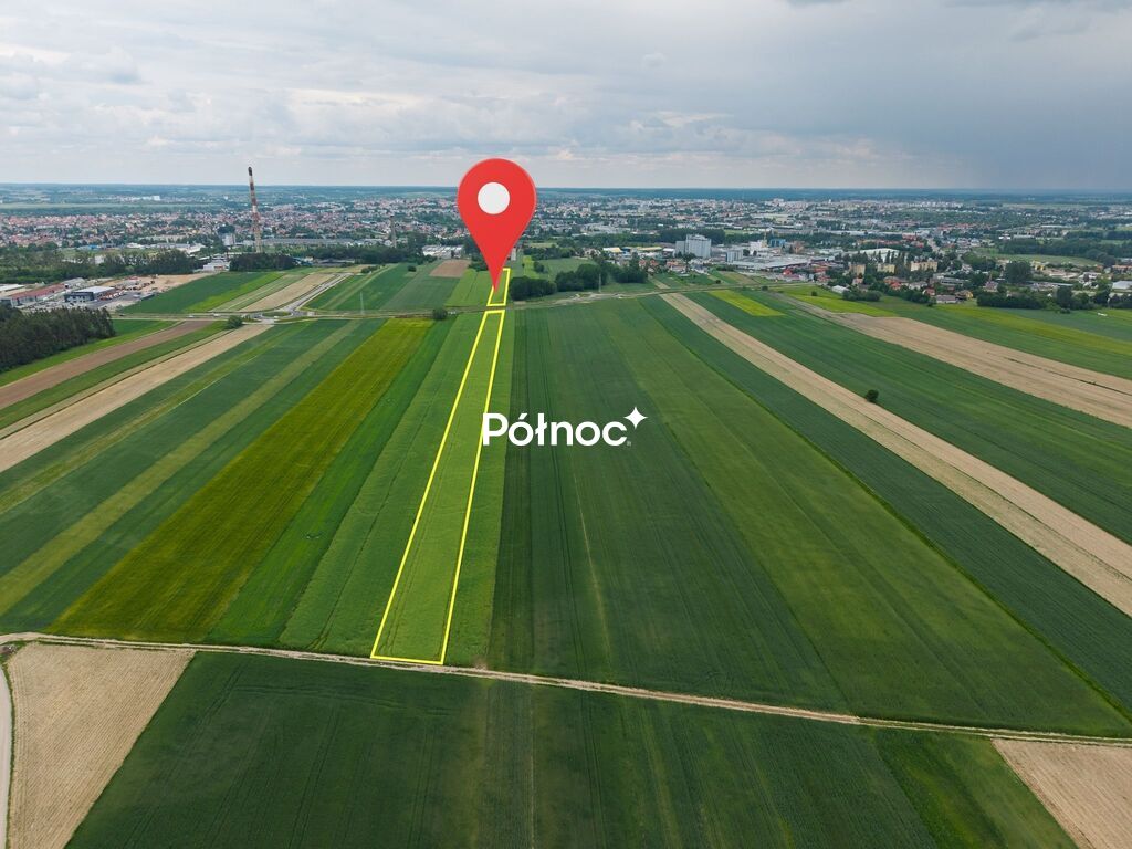 Zdjęcie 2