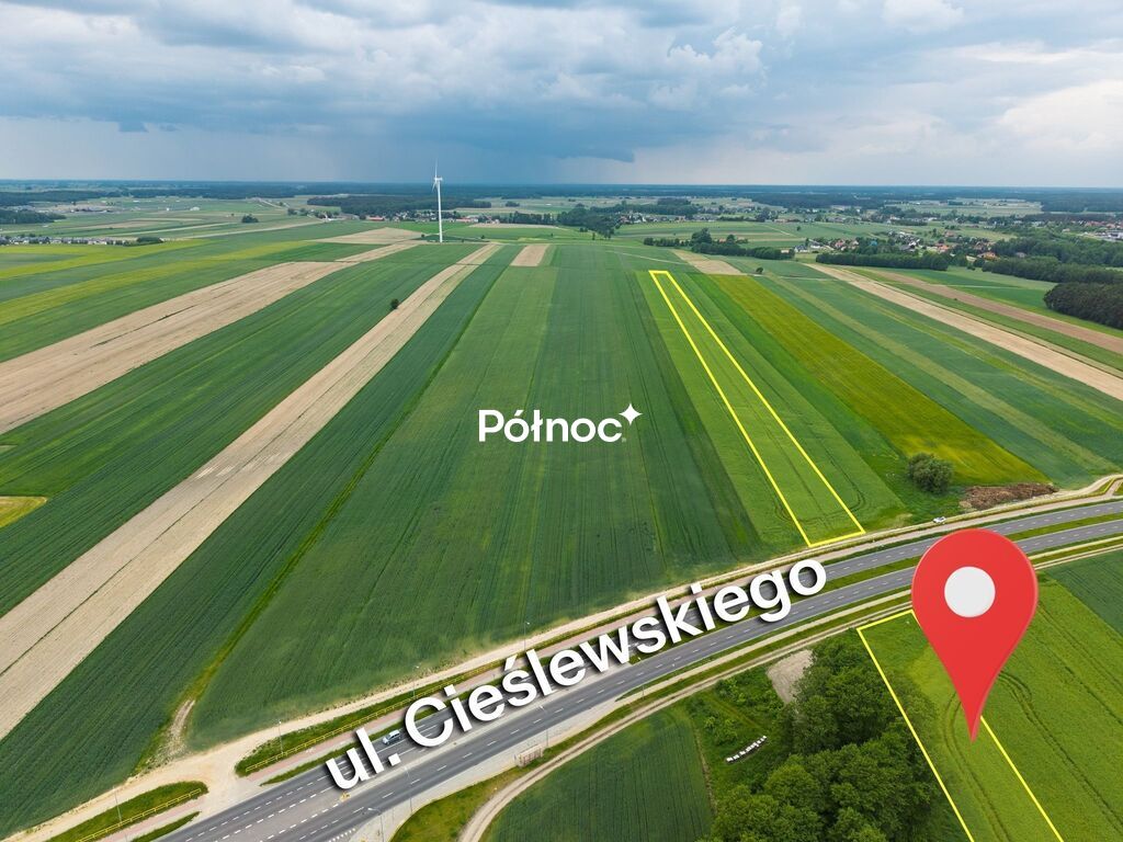Zdjęcie 4