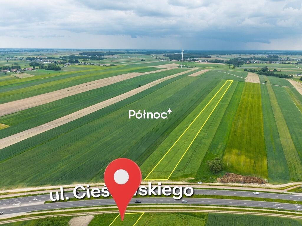 Zdjęcie 5