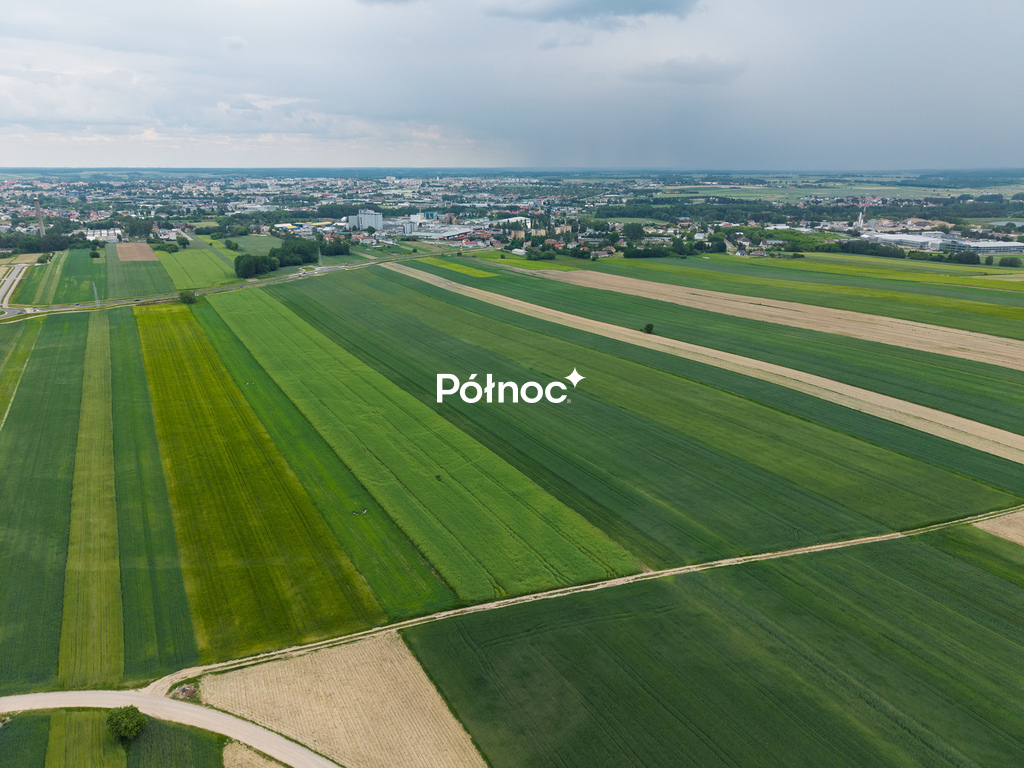 Zdjęcie 6