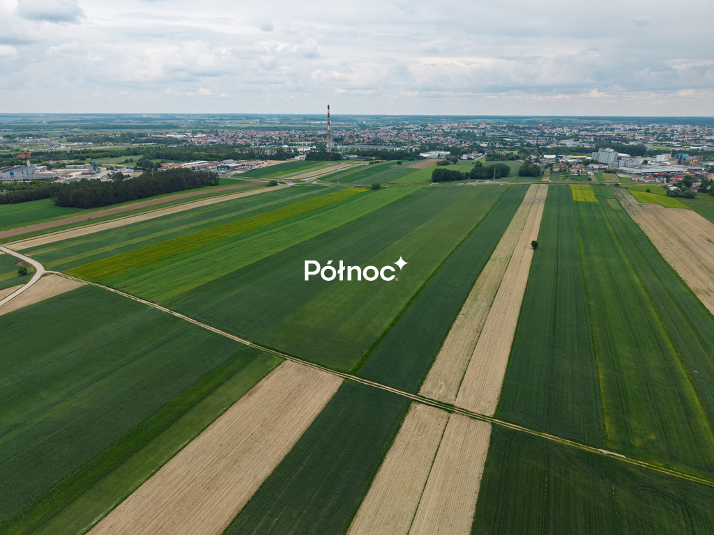Zdjęcie 7