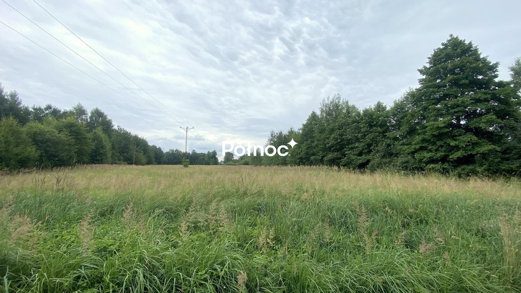 Zdjęcie 3