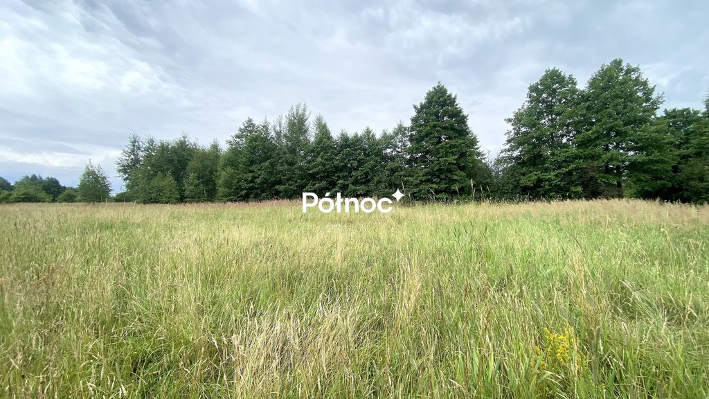 Zdjęcie 4