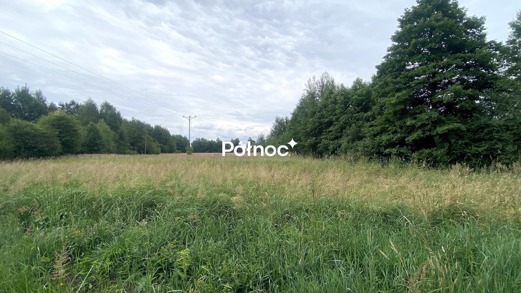 Zdjęcie 6