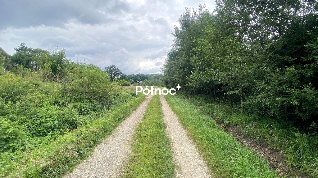Zdjęcie 7
