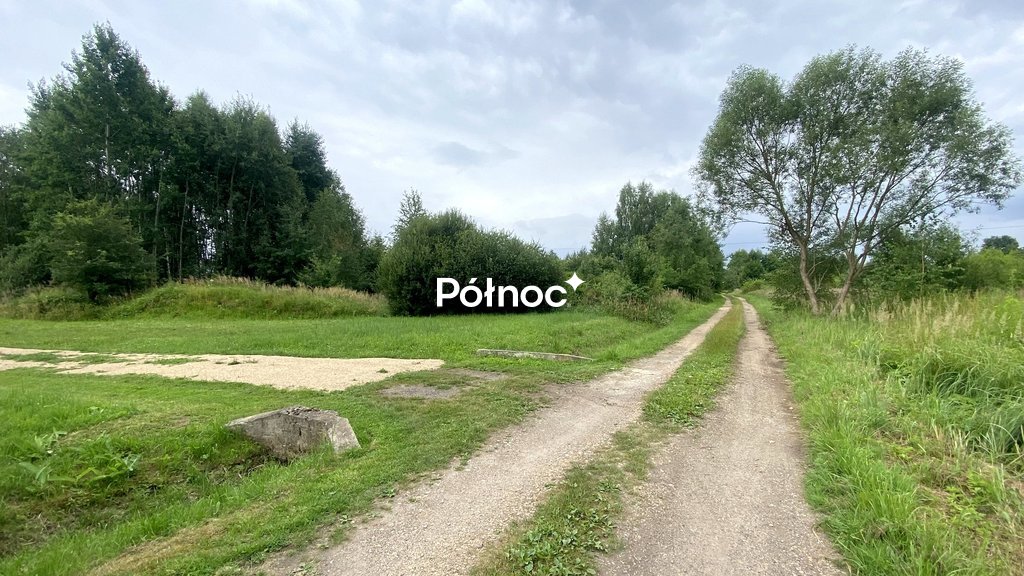 Zdjęcie 8