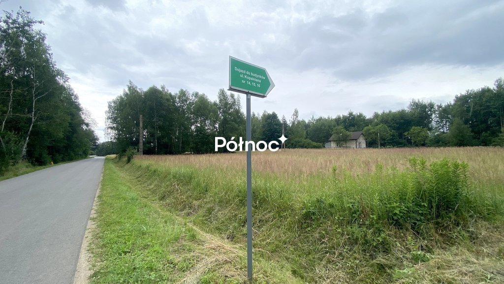 Zdjęcie 9