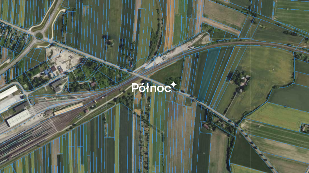 Zdjęcie 4