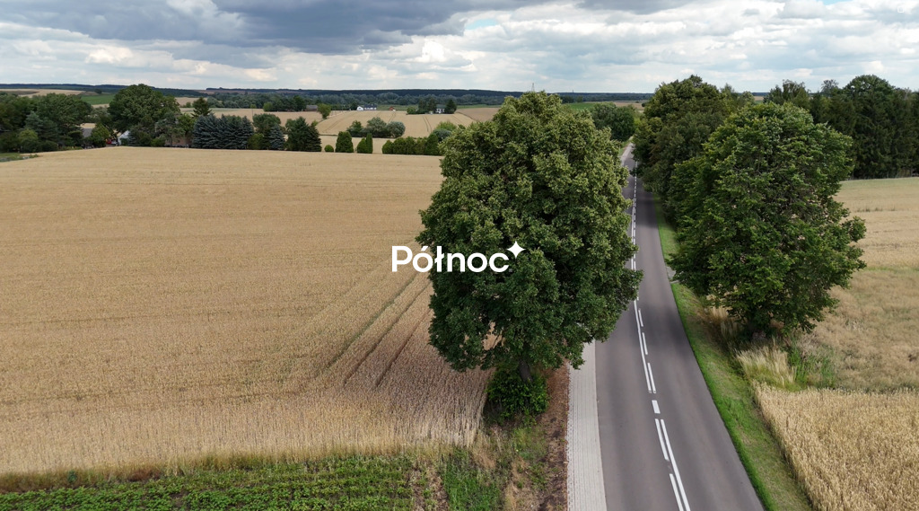 Zdjęcie 5