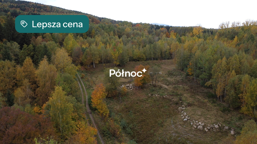 Działka budowlana i inwestycyjna 6 415 m², Piechowice, Piastów