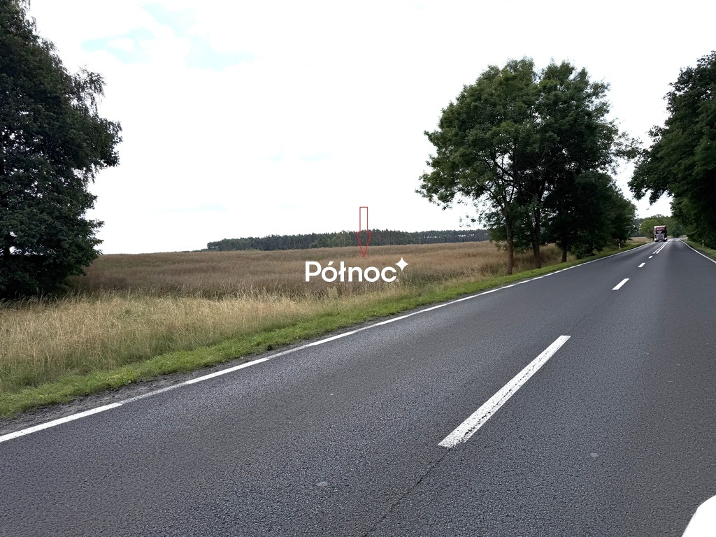 Zdjęcie 4