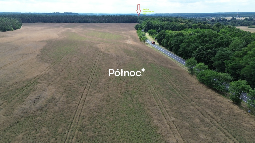 Zdjęcie 8