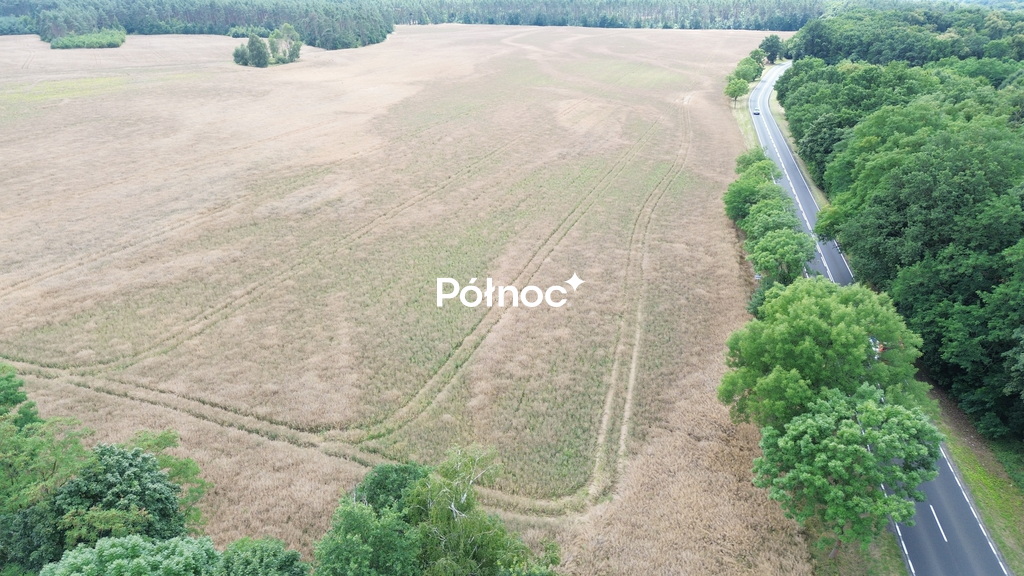 Zdjęcie 10