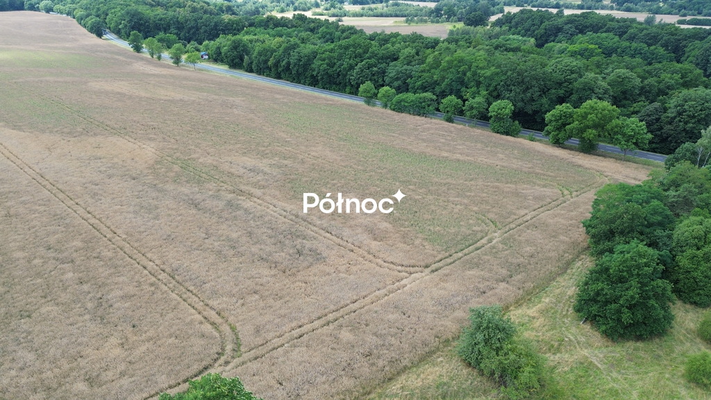 Zdjęcie 11