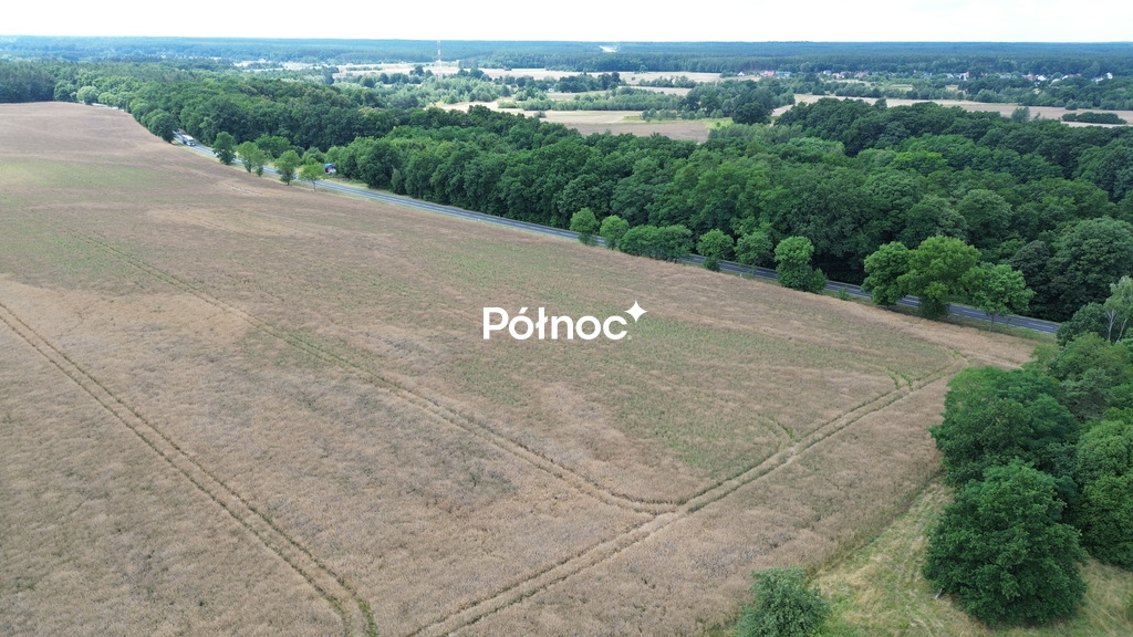 Zdjęcie 12