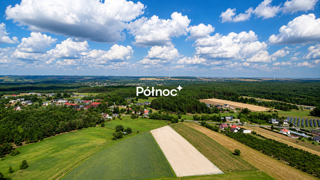 Zdjęcie 8