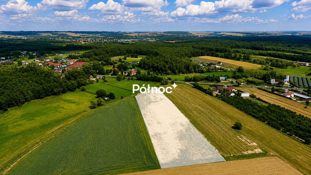 Zdjęcie 9