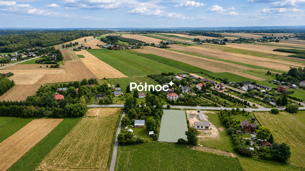 Zdjęcie 3
