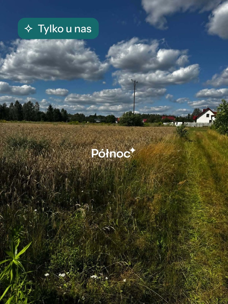 Piękna działka pod zabudowę. Bedlno gmina Końskie.