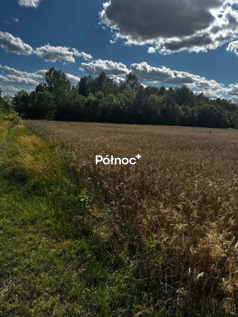 Zdjęcie 4