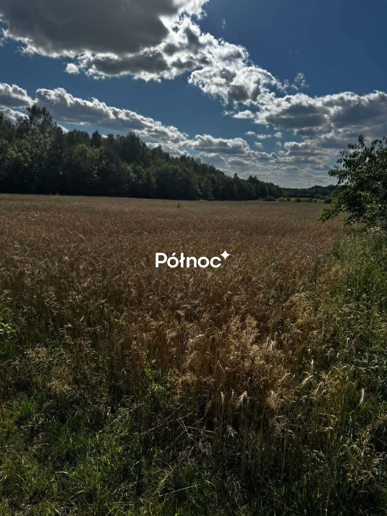 Zdjęcie 5