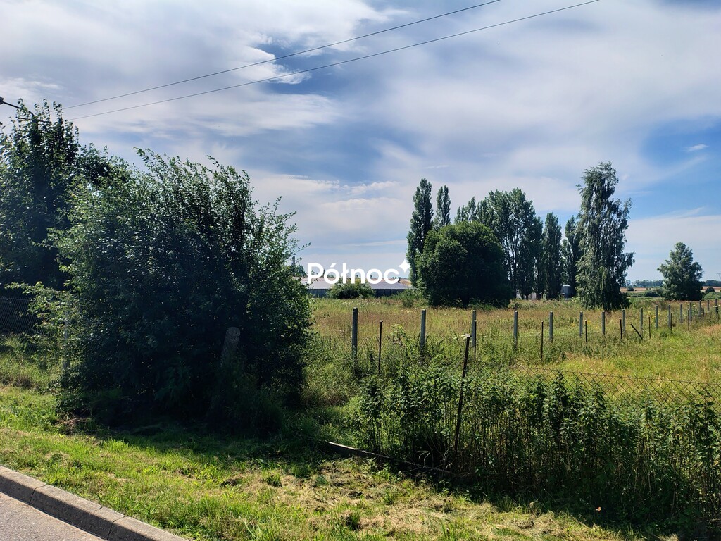 Zdjęcie 6