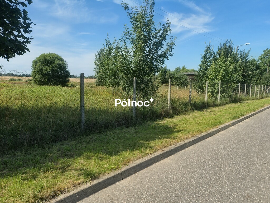 Zdjęcie 8