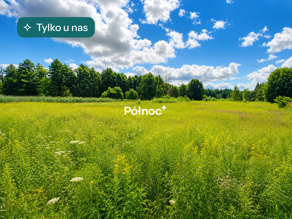 Smukała | Działki z WZ pod 8 domów