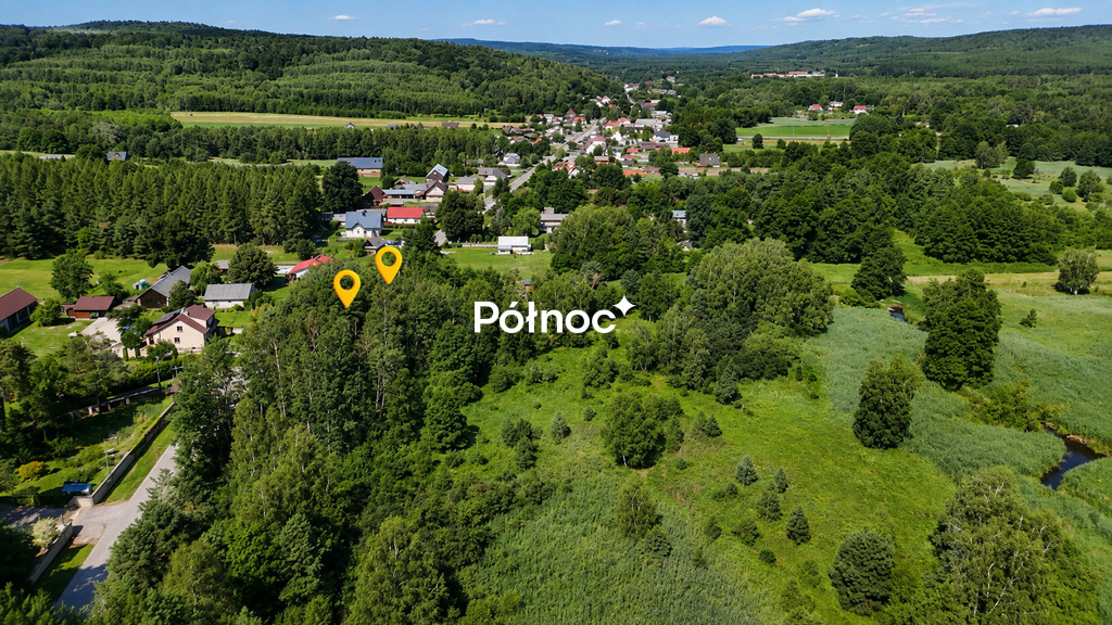 Zdjęcie 10