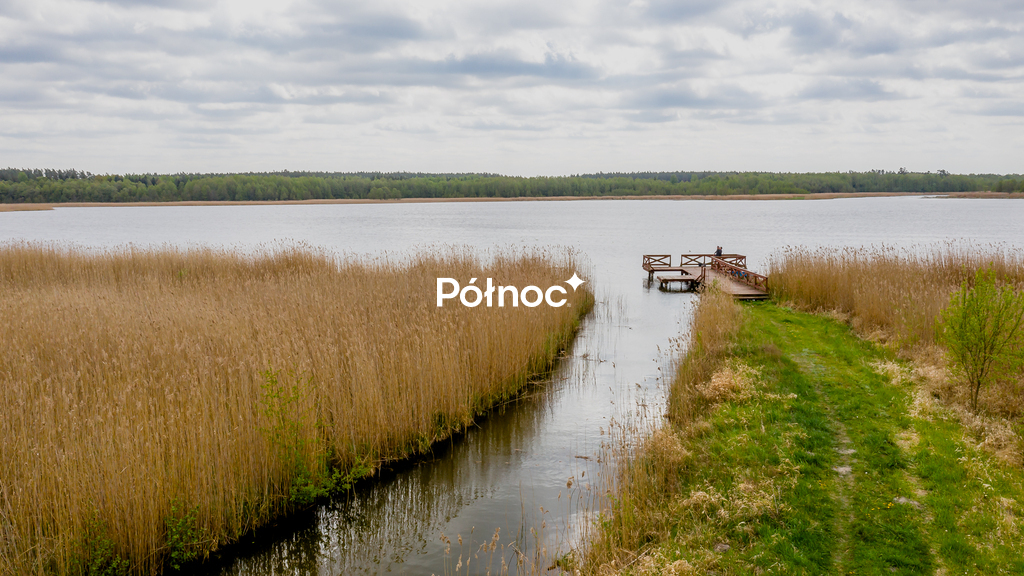 Zdjęcie 13