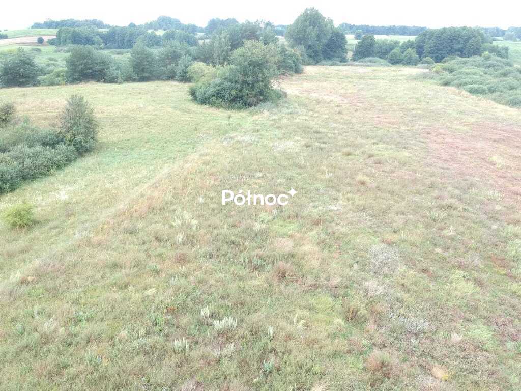 Zdjęcie 5