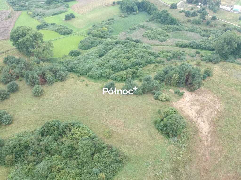 Zdjęcie 6