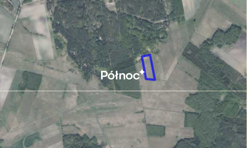 Zdjęcie 3