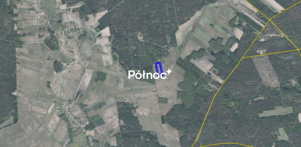 Zdjęcie 4