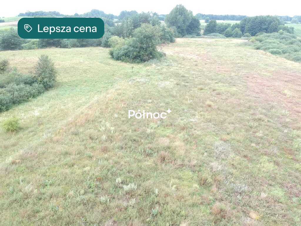 Zdjęcie 5